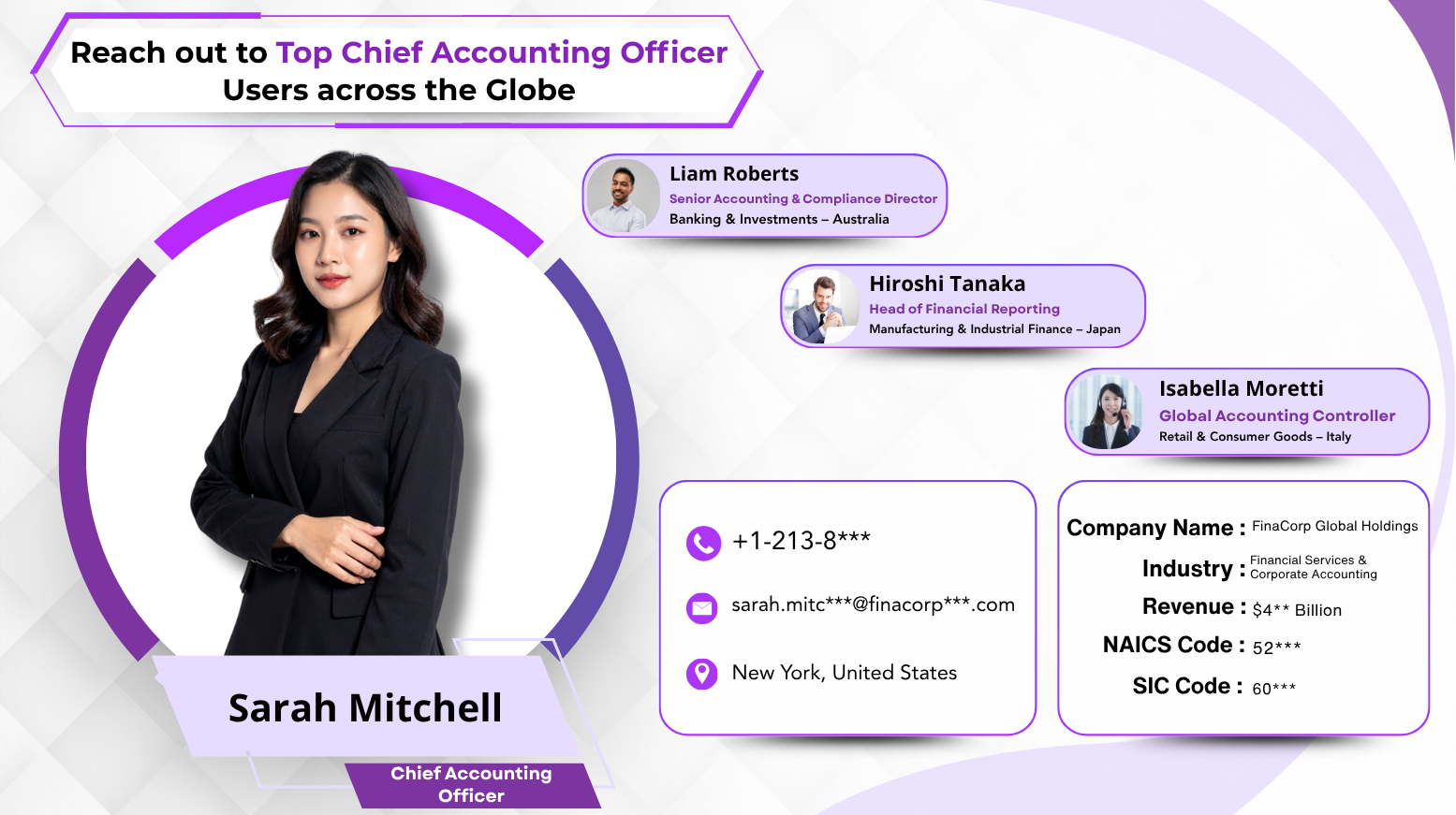 Chief Accounting Officer Users