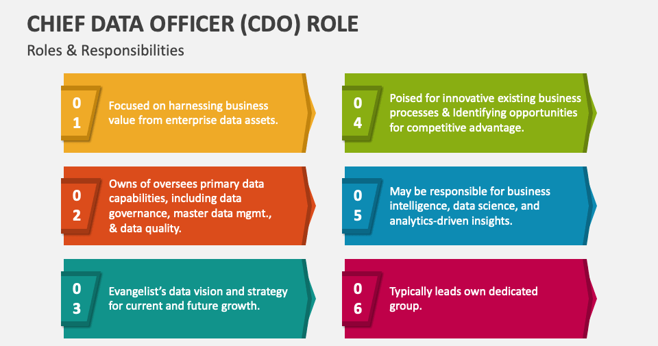 Roles and responsiblitie of Chief Data Officer