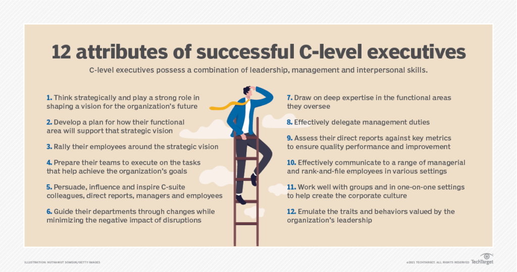 12 Attributes of C-level executives by Target Tech referred by dm valid